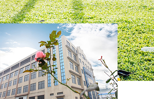 榮譽(yù)資質(zhì)